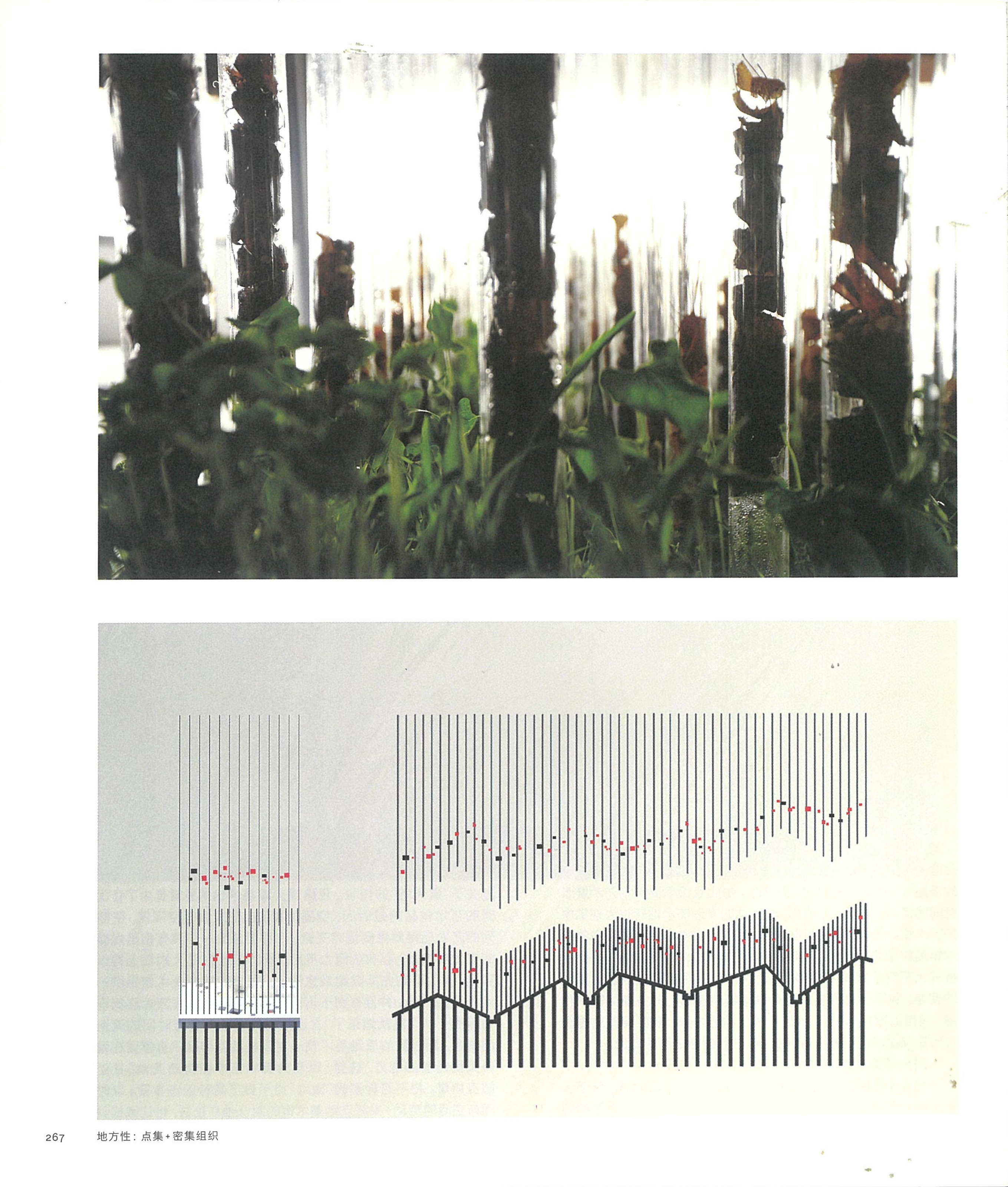 Up to Mountains and Down to Villages — catalogue p. 267