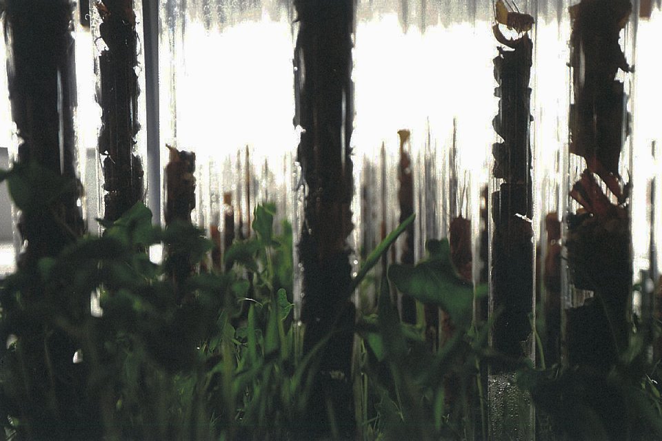 2013 Shenzhen–Hong Kong Bi-City Biennale of Urbanism/Architecture — "Gu" of the Edge — 2