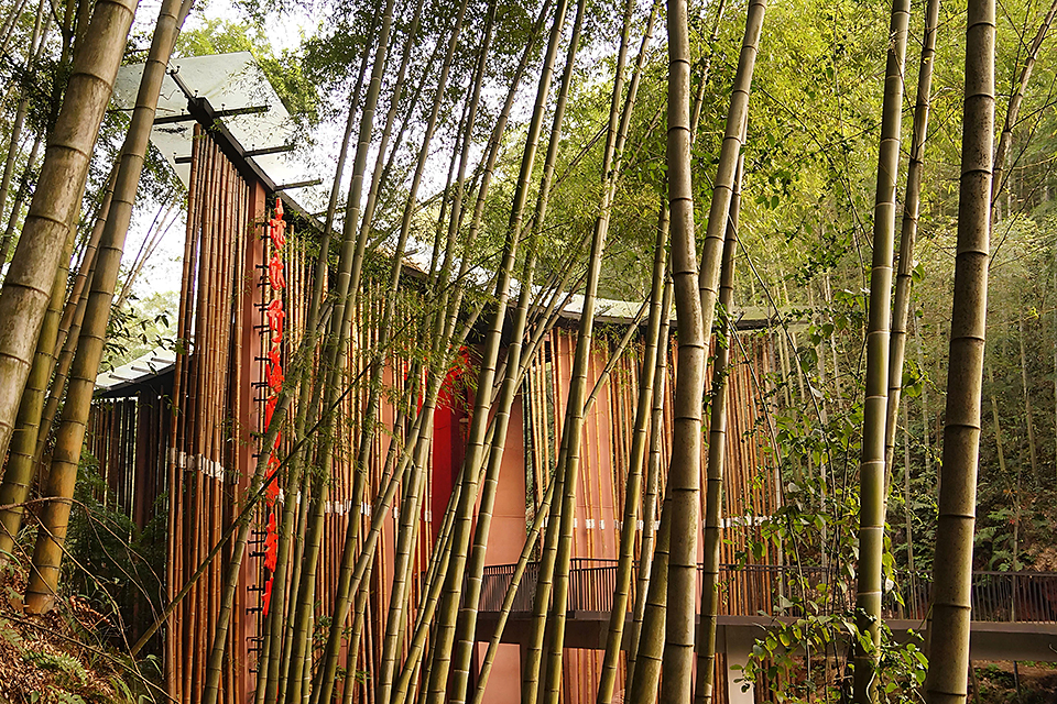 Bamboo Gateway — 7