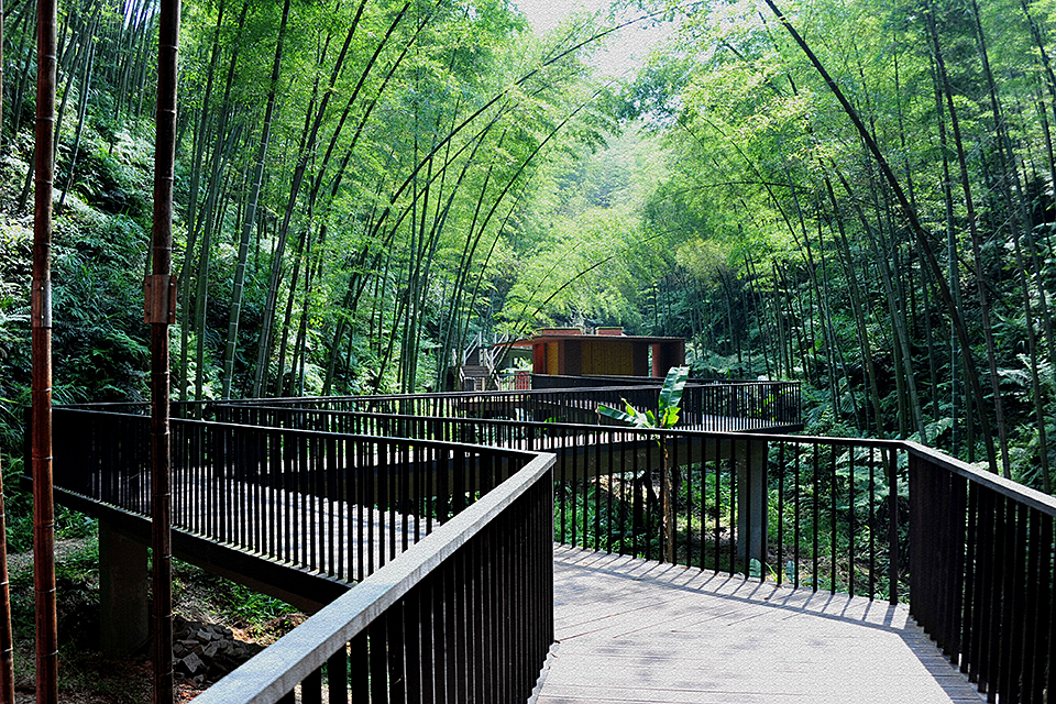 Bamboo Gateway — 8