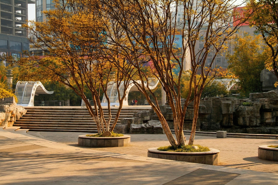 Grand Cross Plaza — 13