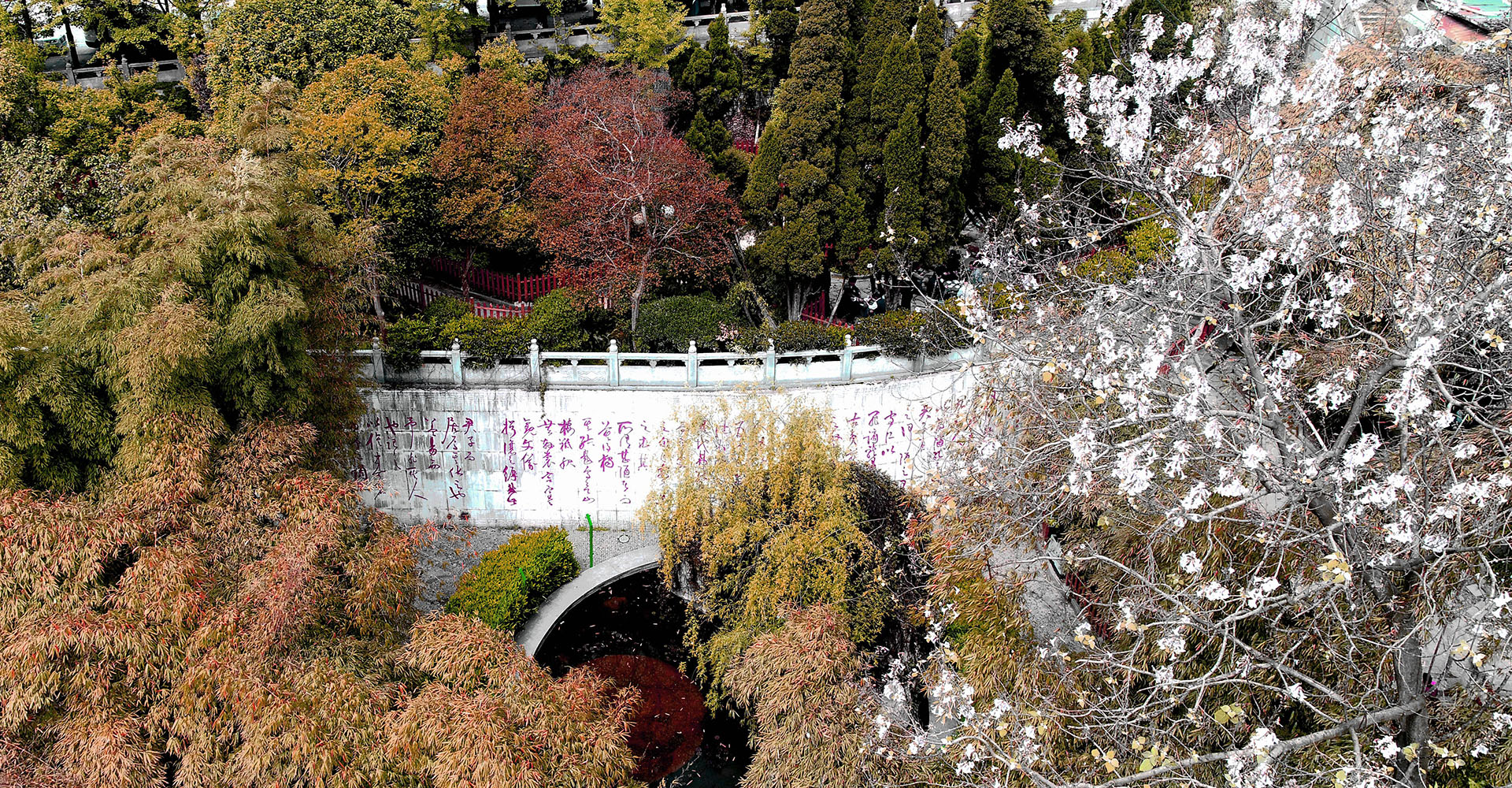 East Mountain Yangming Culture Park